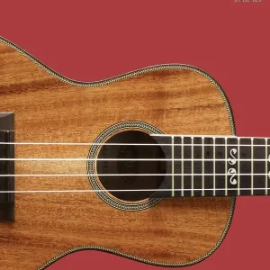 Meilleure Vente Hal Leonard Hal Leonard Ukulele Method Book 2 - Lil‘ Rev - Book