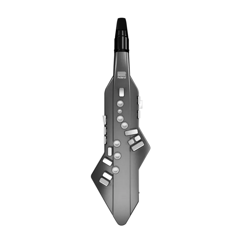 Roland Aerophone GO Digital Wind Instrument - Graphite Produit De Marque