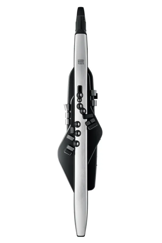 Roland Aerophone Pro AE-30 Digital Wind Instrument Achetez Aujourd'hui