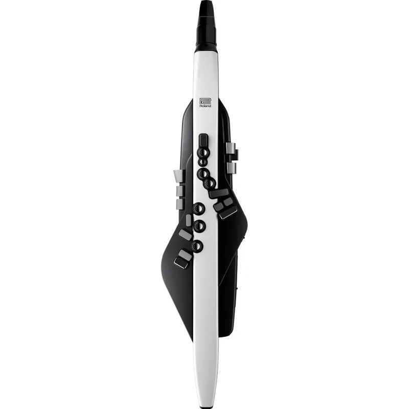 Roland Roland Aerophone Digital Wind Instrument Bon Marché