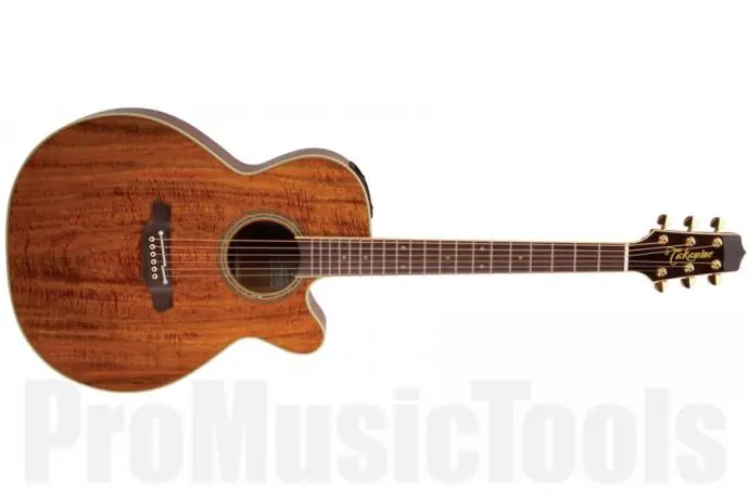 Offre Exclusive Takamine EF508KC Legacy Series NEX - Natural Gloss
