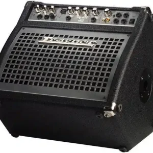 Traynor Compact 120 Watt Keyboard Amp / Monitor Combo Remise