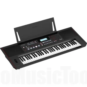 Nouvel Arrivage Roland E-X50 Entertainment Keyboard