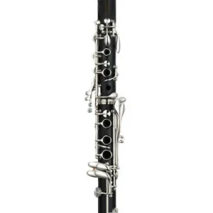 Carlton Bb Student Clarinet, ABS with Case Affaire À Saisir