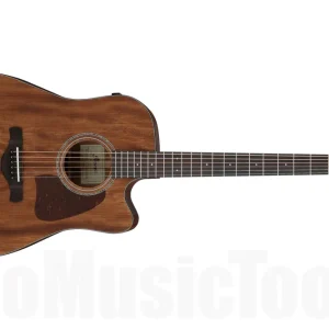 Seulement Aujourd'hui Ibanez AW1040CE-OPN - Open Pore Natural Artwood