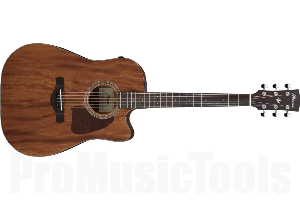 Seulement Aujourd'hui Ibanez AW1040CE-OPN - Open Pore Natural Artwood