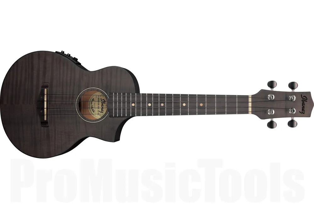 Bon Marché Ibanez UEW12E-BIF - Black Ice Flat