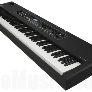 Yamaha CK88 Populaire