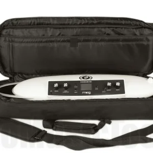 Moog Theremini Bundle incl. Gigbag Usine Directe