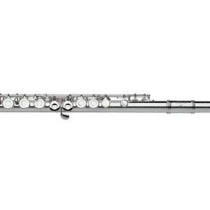 Gemeinhardt 2SP Closed-Hole Student Flute, C Foot Expédié Aujourd'hui