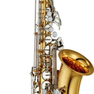 Jusqu'à Épuisement Des Stocks Yamaha Band Standard Alto Saxophone with Case - Gold Lacquer