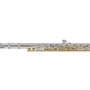 Carlton Silver Plated Flute Outfit Offre Limitée
