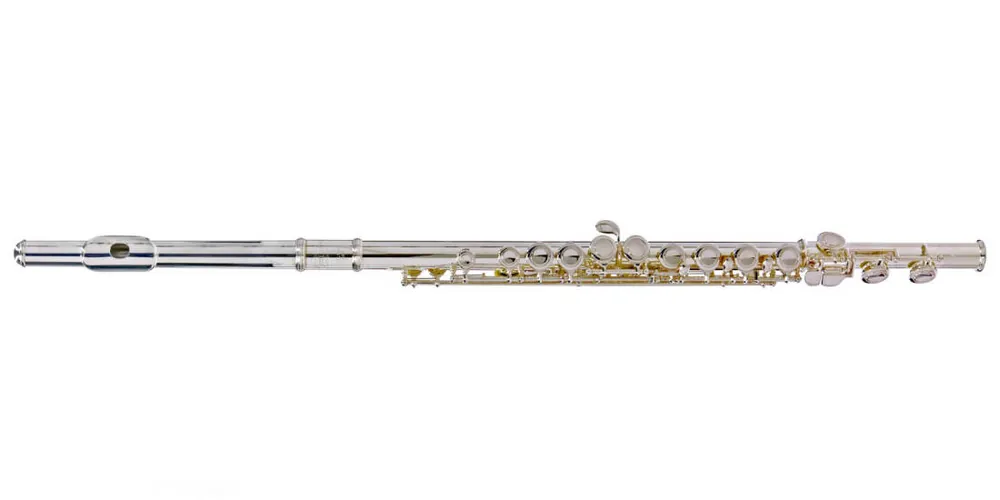 Carlton Silver Plated Flute Outfit Offre Limitée