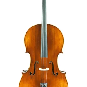 Eastman Strings VC305 4/4 Deluxe Carved Cello Outfit w/Case and Carbon Bow Authentique