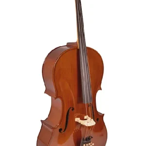 Must-Have Student Cello Outfit 4/4