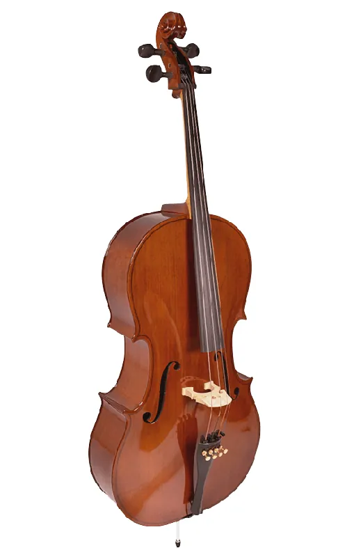 Must-Have Student Cello Outfit 4/4