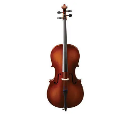 Eastman Strings VC80ST Laminate Cello Outfit - 1/2 Achat Immédiat