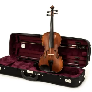 Eastman Strings VL305 4/4 Violin Outfit with Case and Carbon Bow Dernière Chance