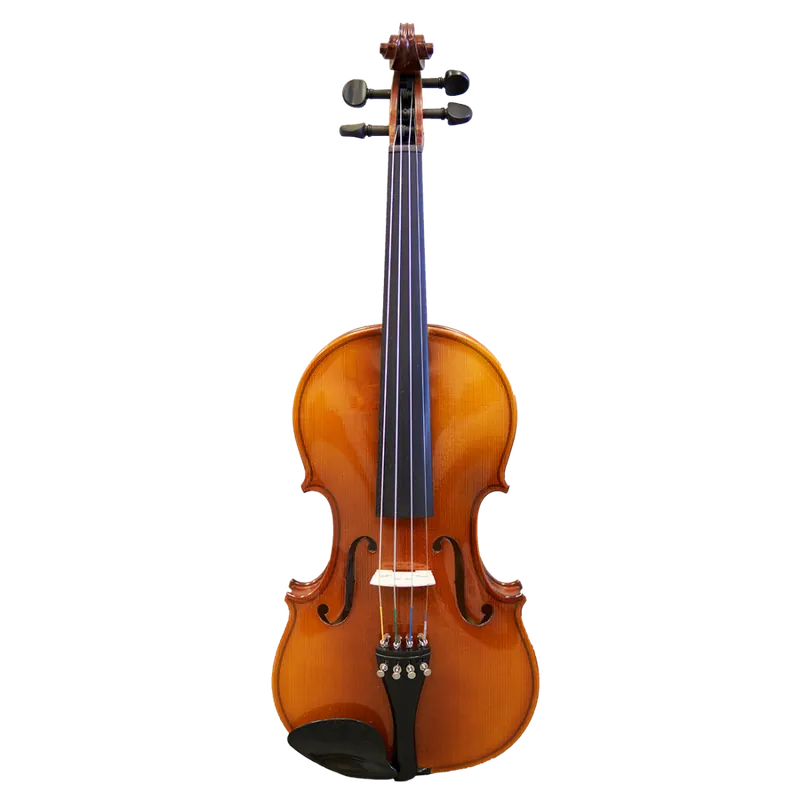 Hora Instruments Rhapsody Violin Outfit - 4/4 Expédié Aujourd'hui