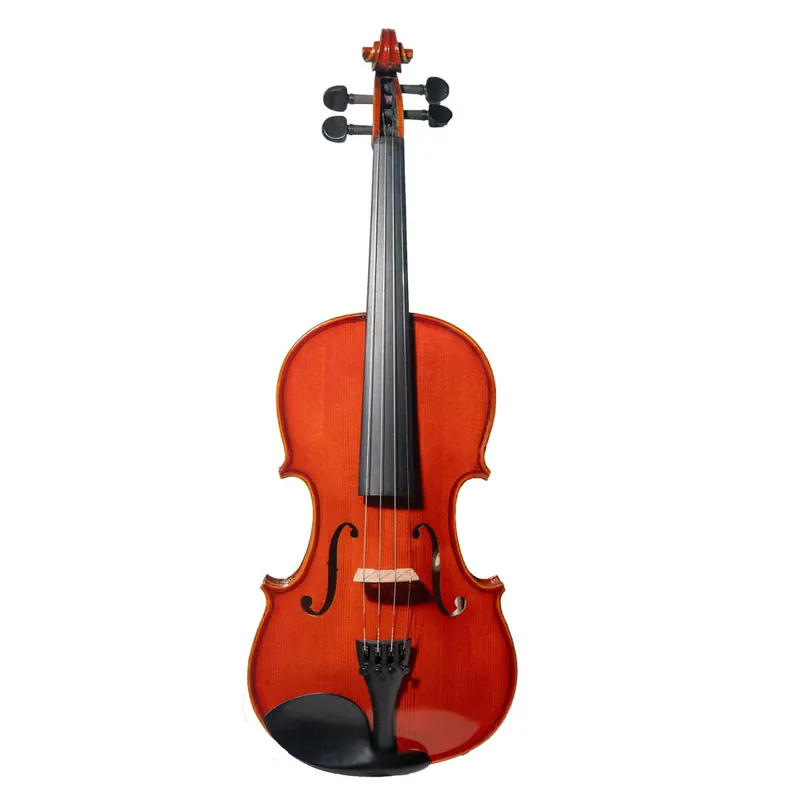 Vente Directe Stentor Limited Edition Anniversary Advanced Violin Outfit - 4/4