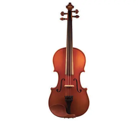 Eastman Strings Violin Outfit - w/Carbon Bow - 4/4 Marque