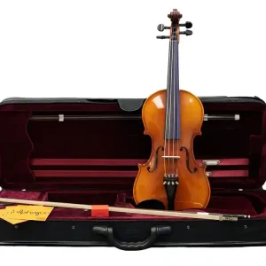Commande En Gros Hora Instruments Rhapsody Student Violin Outfit 4/4