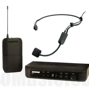 Acheter En Ligne Shure BLX14E/P31