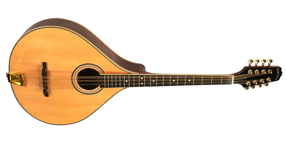Gold Tone OM-800+ Octave Mandolin w/ Case Offre Limitée