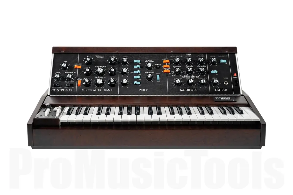 Usine Directe Moog Minimoog Model D 2022 Edition