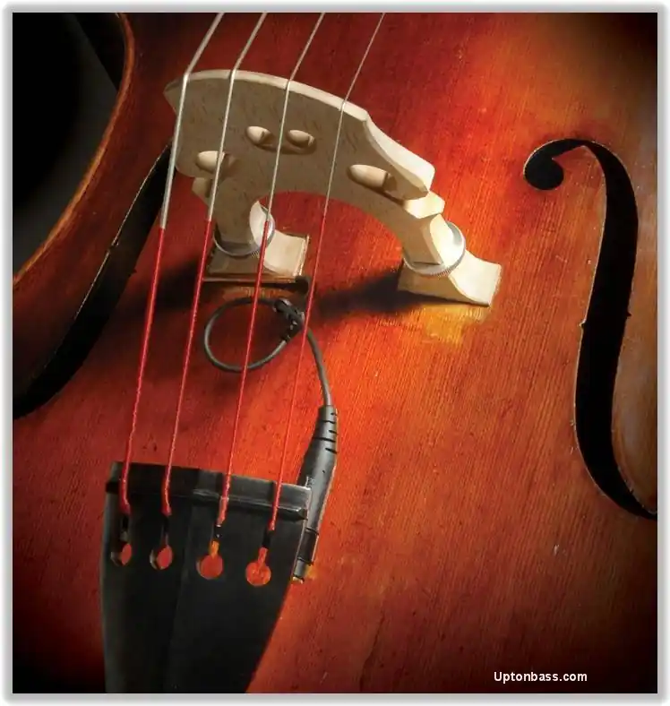 Offre Du Jour David Gage Strings Realist Transducer for String Bass