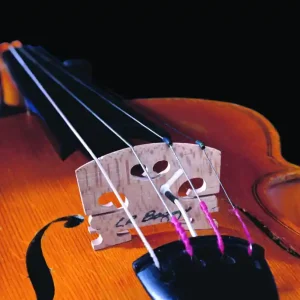 Prix Choc L.R Baggs Violin Pickup with Carpenter Jack