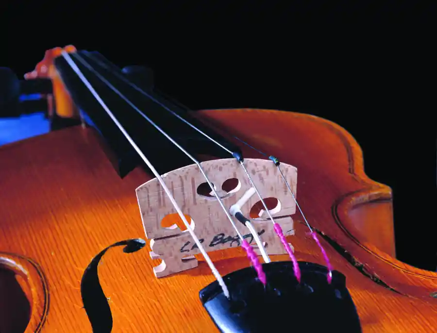 Prix Choc L.R Baggs Violin Pickup with Carpenter Jack