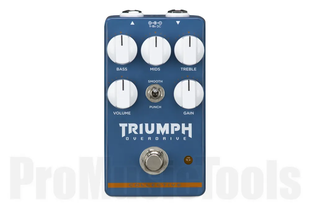 Bon Plan Wampler Triumph