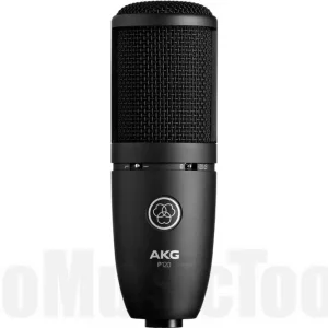 Expédition Rapide AKG P120
