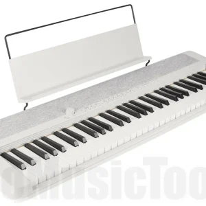 Acheter En Ligne Casio CT-S1WE