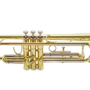 Carlton Bb Trumpet Outfit, Lacquered w/Case Commande En Gros