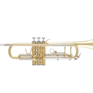 Bach BTR302 Student Bb Trumpet with Gold-Brass Leadpipe - Lacquered Remise