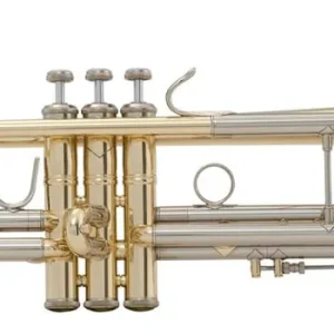 Bach 18037 Stradivarius Series Bb Trumpet 37 Bell - Lacquer Certifié