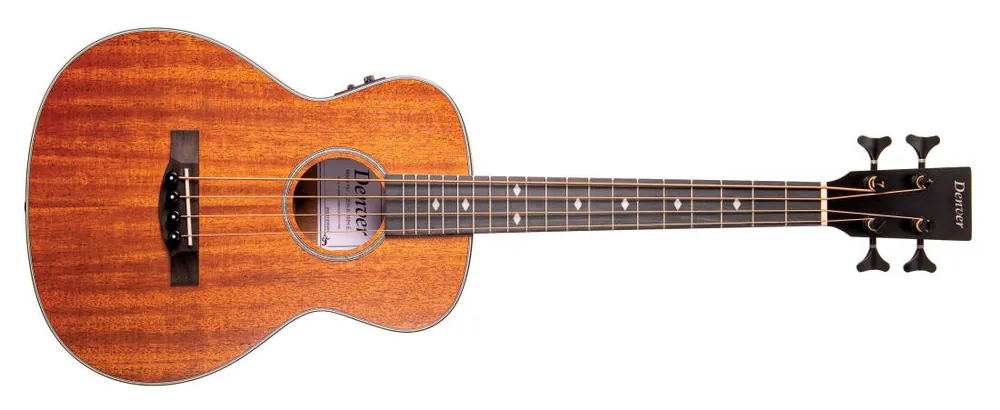 Denver Mini Acoustic/Electric Bass with Gigbag Prix Cassé