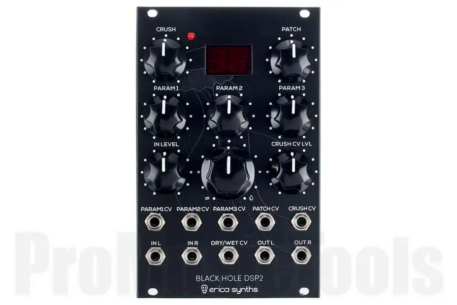 Erica Synths Black Hole DSP2 Expédition Rapide