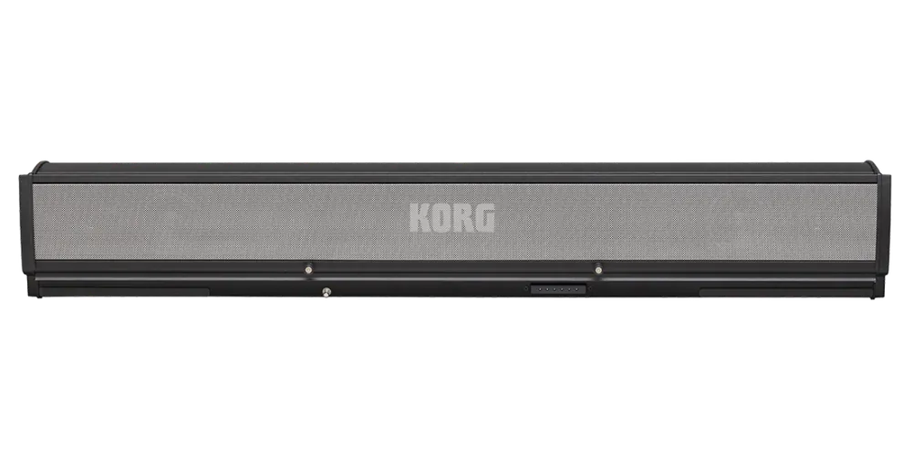 Korg PaAs MK2 Amplification System for PA5X Expédition Rapide
