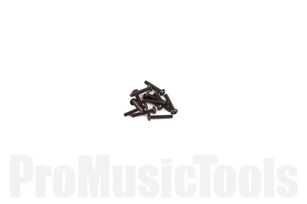 Fender Intonation Screws - American Deluxe/Elite Strat/Tele - Short 4-40 x 5/8 - Philips - Black (12) Nouvelle Collection