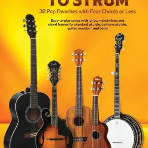 Hal Leonard Easy Songs to Strum Strum Together - Lyrics/Chords - Book Haute Qualité