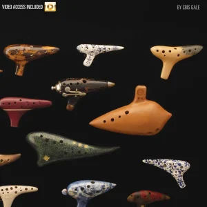 Hal Leonard Hal Leonard Ocarina Method - Gale - Ocarina - Book/Video Online Satisfait Ou Remboursé