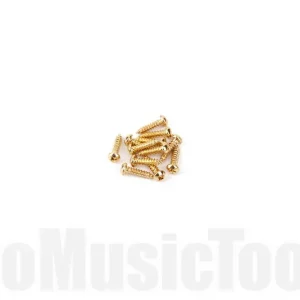 Certifié Fender Pure Vintage Tuning Machine Mounting Screws - Gold - (12)