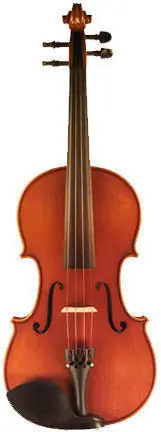 Expédition Rapide Eastman Strings VL100 Violin Outfit - 1/10