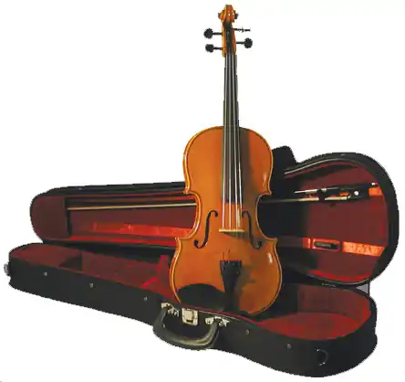 Acheter Direct Eastman Strings Violin Outfit 1/4 Size