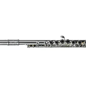 Paiement Sécurisé Di Zhao Flutes DZ100 Student Flute, Offset G, C Foot Joint
