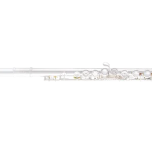 Selmer SFL301 Closed Hole Student Flute w/Offset G Meilleur Prix