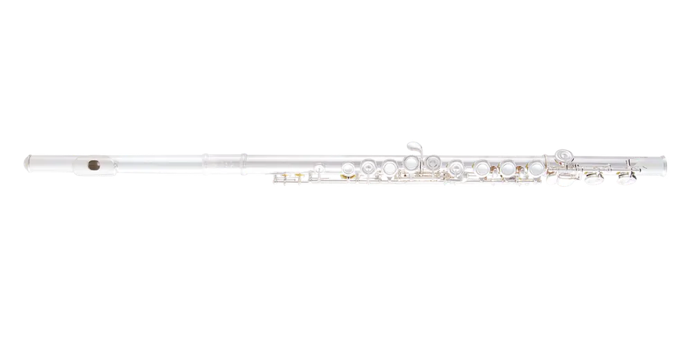 Selmer SFL301 Closed Hole Student Flute w/Offset G Meilleur Prix